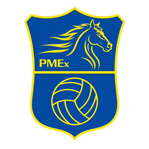 Phong Mã Express